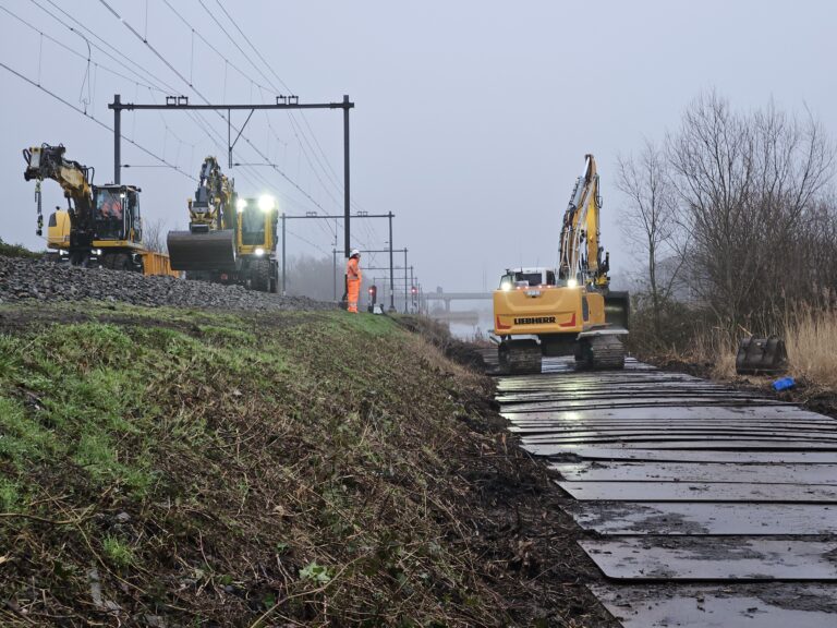 Zoek de ringslang in Halfweg