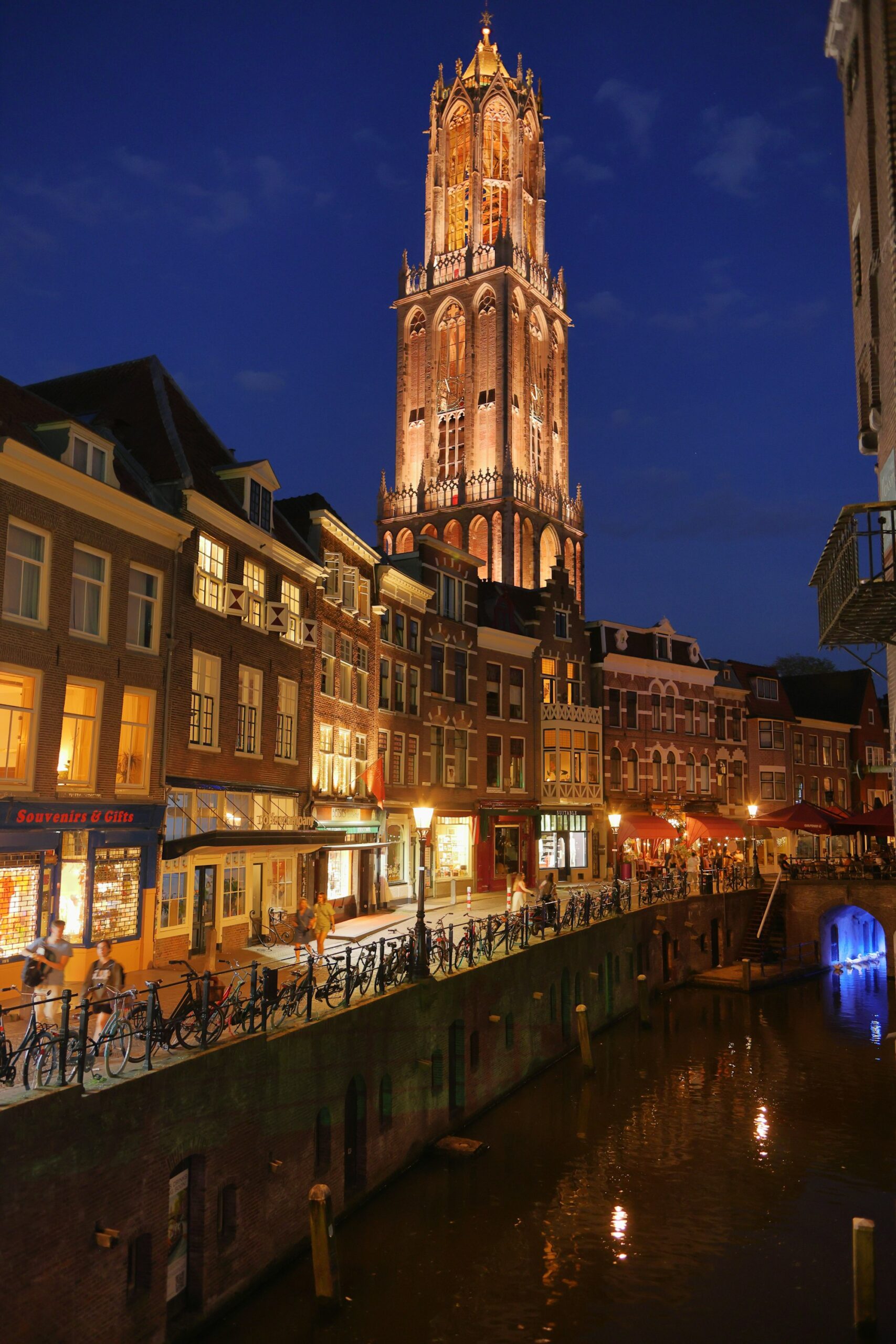 Utrecht Domtoren broedvogels